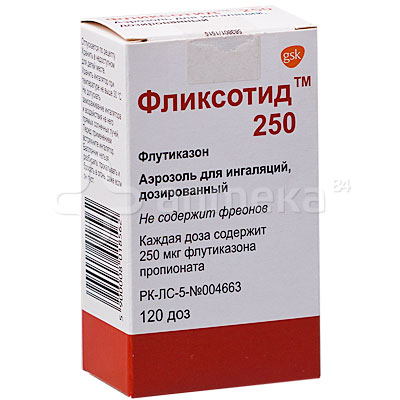 Фликсотид аэрозоль (флутиказон) 250мкг/120 доз / Астма / Лекарства ...